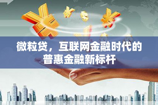 阜沙微粒贷，互联网金融时代的普惠金融新标杆