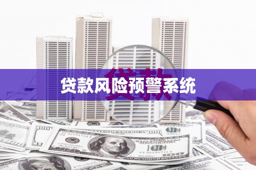 阜沙贷款风险预警系统