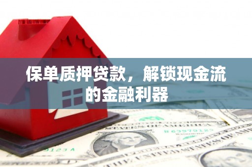 阜沙保单质押贷款，解锁现金流的金融利器