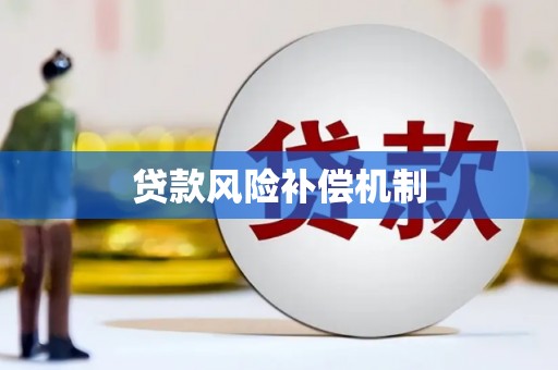 阜沙贷款风险补偿机制