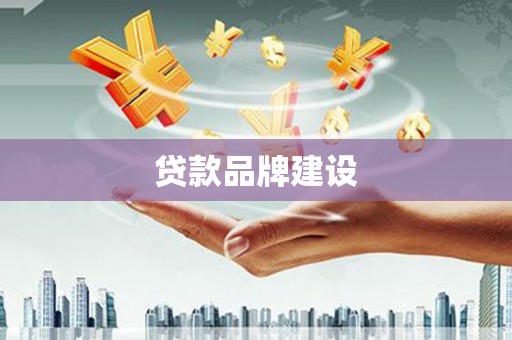 阜沙贷款品牌建设