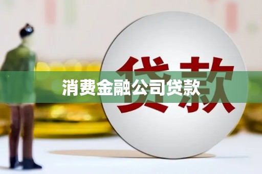 阜沙消费金融公司贷款