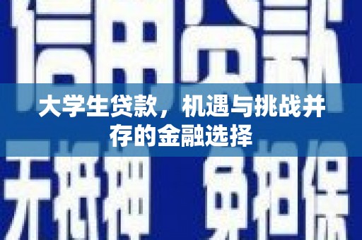 阜沙大学生贷款，机遇与挑战并存的金融选择