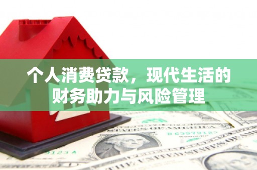 阜沙个人消费贷款，现代生活的财务助力与风险管理