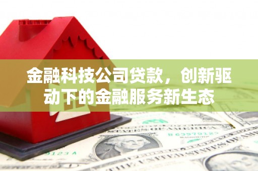 阜沙金融科技公司贷款，创新驱动下的金融服务新生态