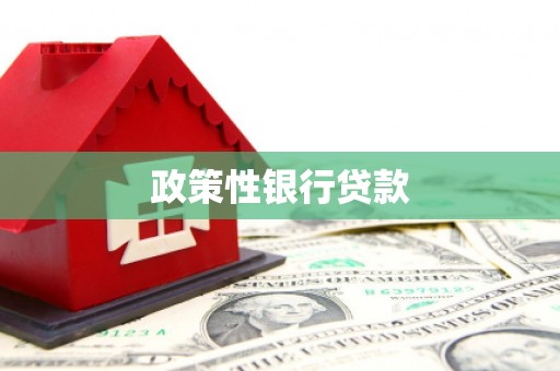 阜沙政策性银行贷款