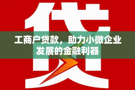 阜沙工商户贷款，助力小微企业发展的金融利器