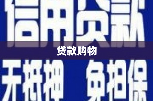 阜沙贷款购物