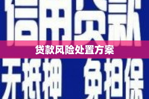 阜沙贷款风险处置方案