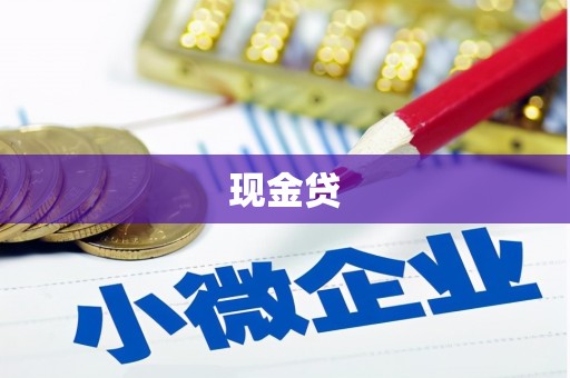 阜沙现金贷
