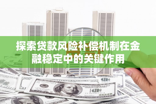 阜沙探索贷款风险补偿机制在金融稳定中的关键作用