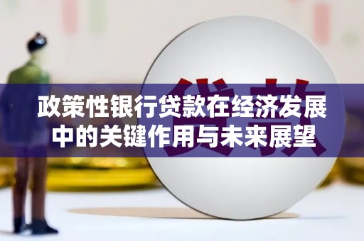 阜沙政策性银行贷款在经济发展中的关键作用与未来展望