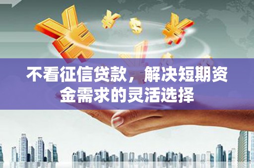 阜沙不看征信贷款，解决短期资金需求的灵活选择