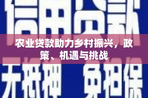 阜沙农业贷款助力乡村振兴，政策、机遇与挑战