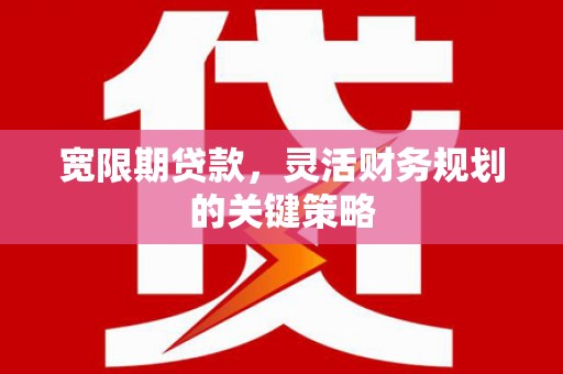 阜沙宽限期贷款，灵活财务规划的关键策略