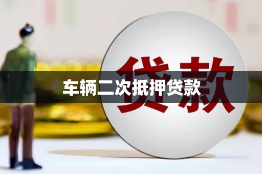 阜沙车辆二次抵押贷款