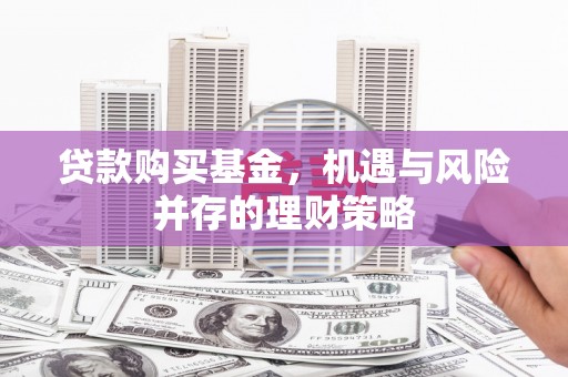 阜沙贷款购买基金，机遇与风险并存的理财策略