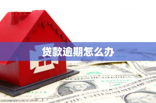 阜沙贷款逾期怎么办