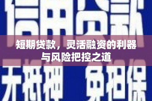 阜沙短期贷款，灵活融资的利器与风险把控之道