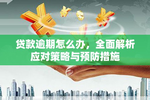 阜沙贷款逾期怎么办，全面解析应对策略与预防措施