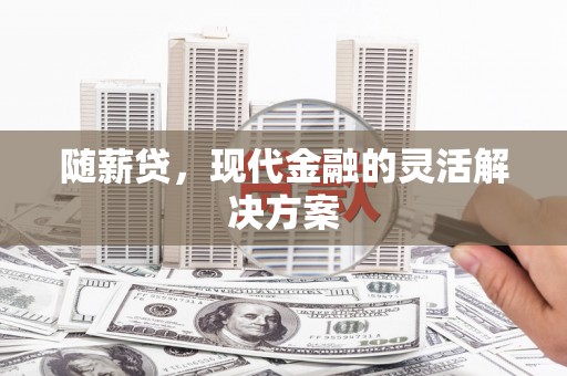 阜沙随薪贷，现代金融的灵活解决方案