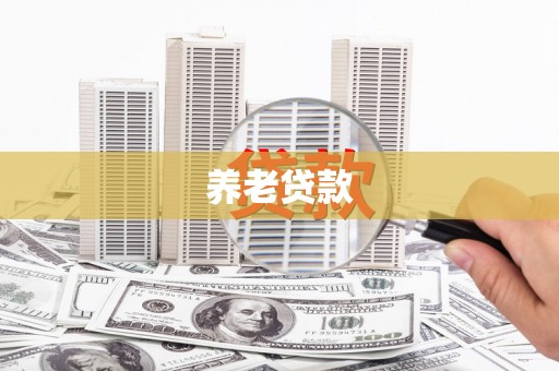 阜沙养老贷款