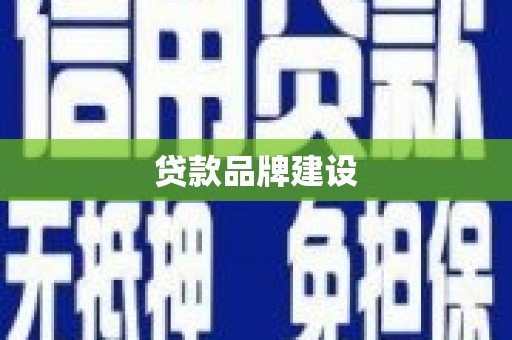 阜沙贷款品牌建设