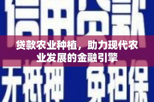 阜沙贷款农业种植，助力现代农业发展的金融引擎