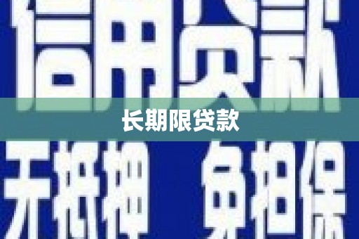 阜沙长期限贷款