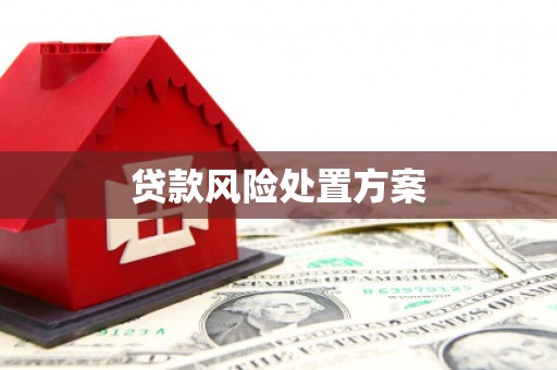 阜沙贷款风险处置方案