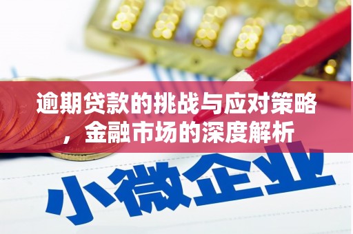 阜沙逾期贷款的挑战与应对策略，金融市场的深度解析