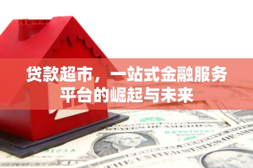 阜沙贷款超市，一站式金融服务平台的崛起与未来
