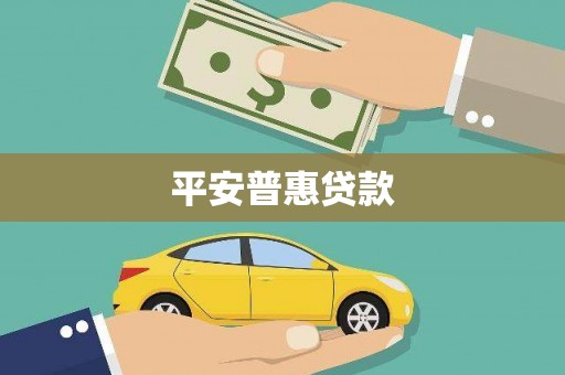 阜沙平安普惠贷款