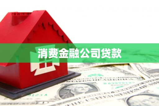 阜沙消费金融公司贷款