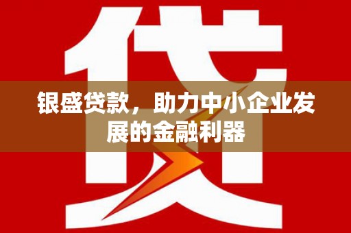 阜沙银盛贷款，助力中小企业发展的金融利器