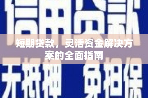 阜沙短期贷款，灵活资金解决方案的全面指南