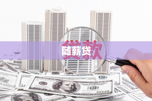 阜沙随薪贷