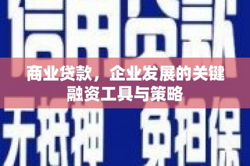 阜沙商业贷款，企业发展的关键融资工具与策略