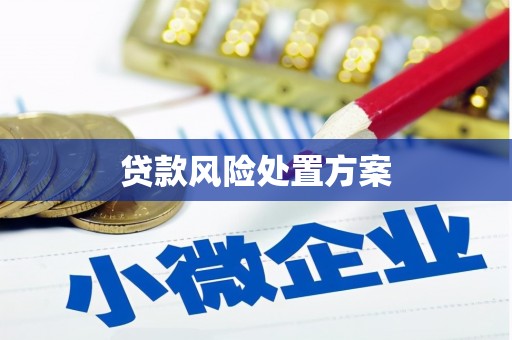 阜沙贷款风险处置方案
