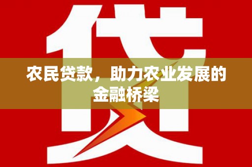 阜沙农民贷款，助力农业发展的金融桥梁