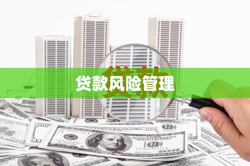 阜沙贷款风险管理