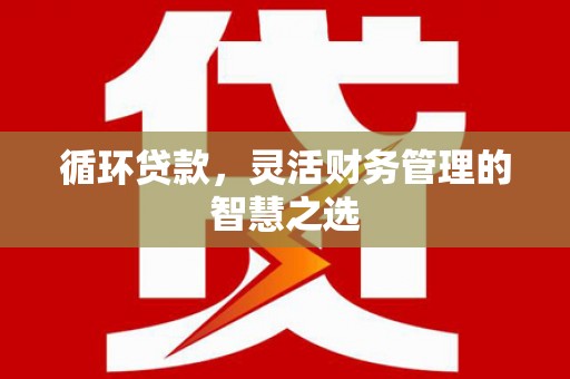 阜沙循环贷款，灵活财务管理的智慧之选