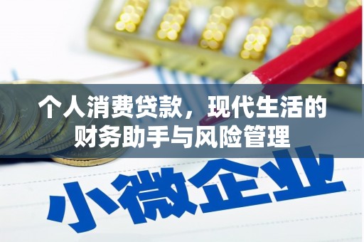 阜沙个人消费贷款，现代生活的财务助手与风险管理