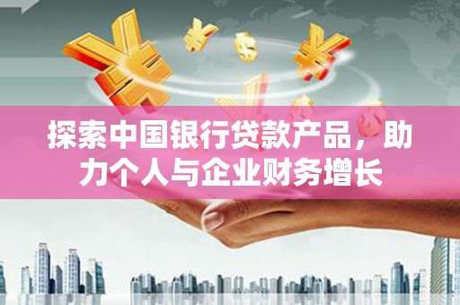阜沙探索中国银行贷款产品，助力个人与企业财务增长