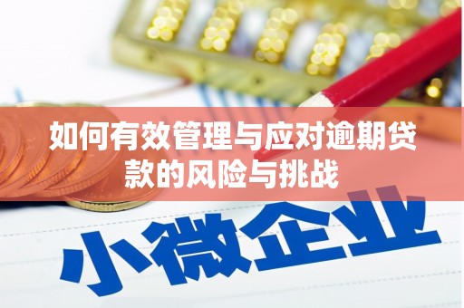 阜沙如何有效管理与应对逾期贷款的风险与挑战