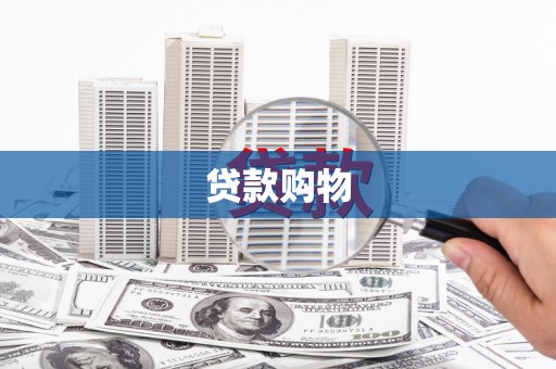 阜沙贷款购物