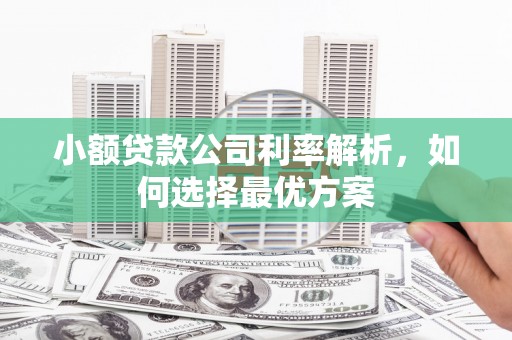 阜沙小额贷款公司利率解析，如何选择最优方案