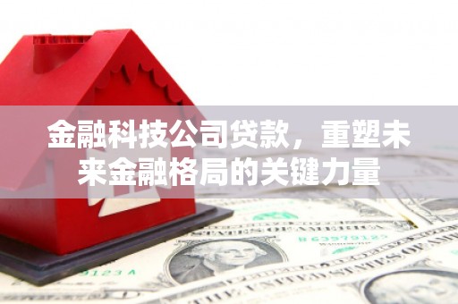 阜沙金融科技公司贷款，重塑未来金融格局的关键力量