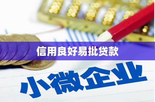 阜沙信用良好易批贷款