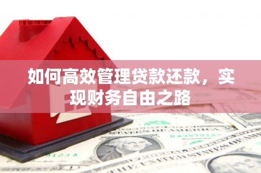 阜沙如何高效管理贷款还款，实现财务自由之路